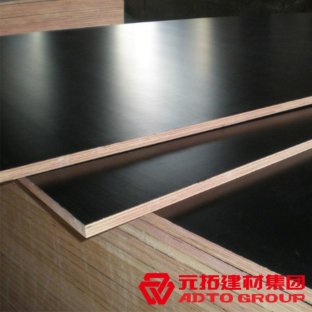 河北建筑木模板多少錢一張？河北木模板價格表？
